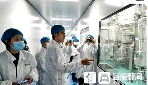 石藥集團煙臺生物醫藥高科技產業園 打造全國最大生物醫藥產業化基地，融合通信技術開發新動能